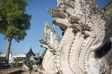 Similar image 13067834