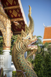 Similar image 13072976