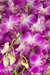 Similar image 13067818