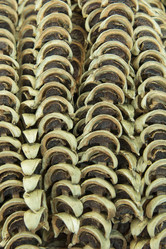 Similar image 13067820