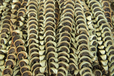 Similar image 13073591