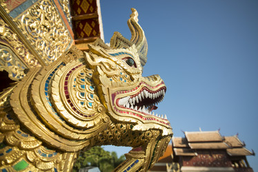 Similar image 13074978