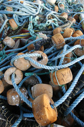 Similar image 13067480