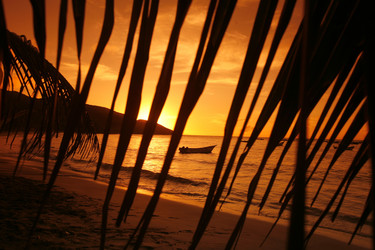 Similar image 13067537