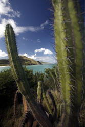 Similar image 13067678