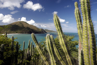 Similar image 13067700