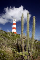 Similar image 13067703