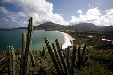 Similar image 13067704