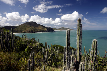 Similar image 13067741