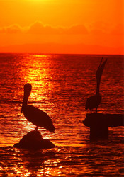 Similar image 13067782