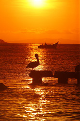 Similar image 13067783