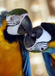 Similar image 13067842