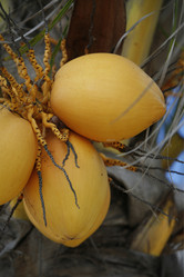 Similar image 13067843