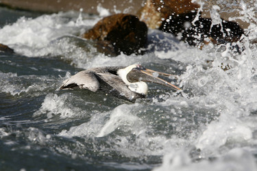 Similar image 13081932