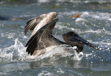 Similar image 13081952