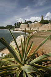 Similar image 13082593