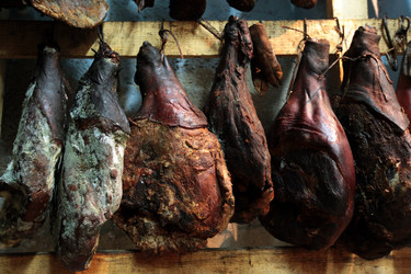 Similar image 13067544