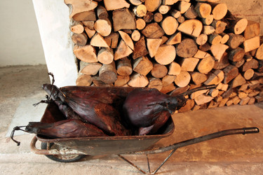 Similar image 13067584