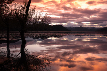 Similar image 13067662