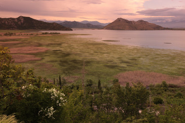 Similar image 13072039