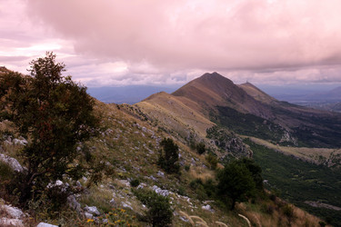 Similar image 13072228