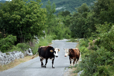 Similar image 13072302