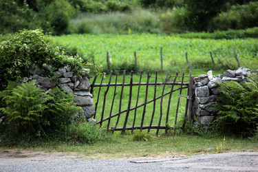 Similar image 13072343