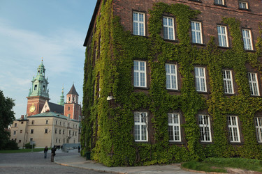 Similar image 13072099