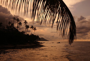 Similar image 13072740