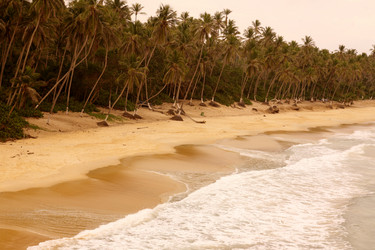 Similar image 13072780