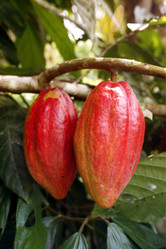 Similar image 13072858