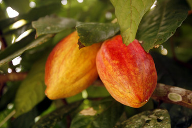 Similar image 13072877