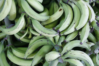 Similar image 13072897