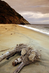 Similar image 13083391