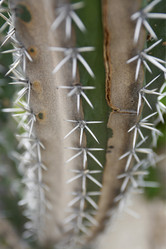 Similar image 13083409