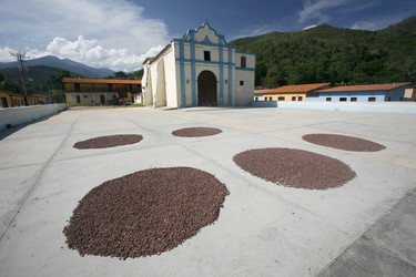 Similar image 13083313