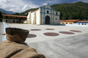 Similar image 13083331