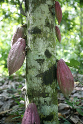 Similar image 13083332