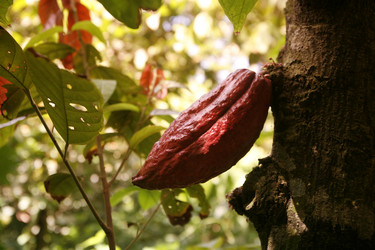 Similar image 13083451