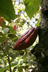 Similar image 13083452