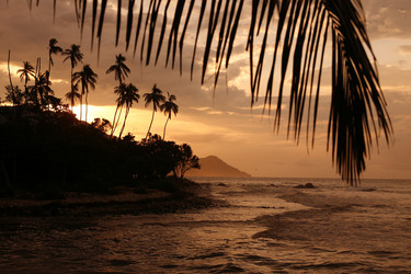 Similar image 13083491