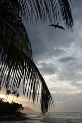 Similar image 13083509