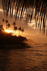 Similar image 13083531