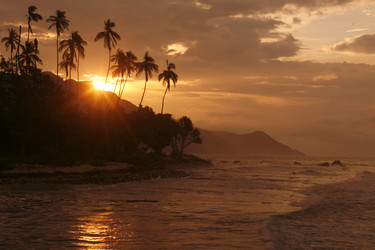 Similar image 13083571