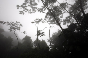 Similar image 13083667