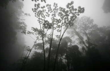 Similar image 13095044