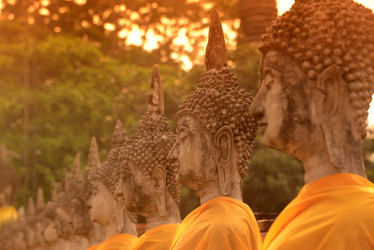 Similar image 13072183