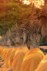 Similar image 13072215