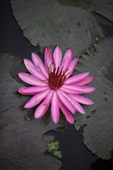 Similar image 13072566