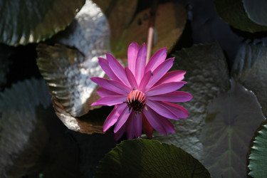 Similar image 13072645